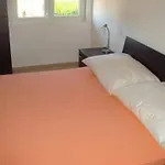 Domuzin Biograd Na Moru