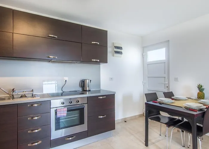 Domuzin Apartament