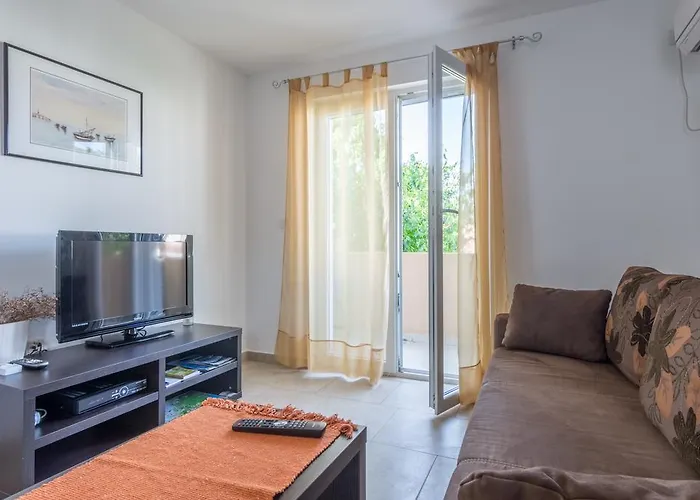 Apartament Domuzin