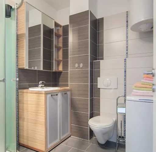Apartament Domuzin