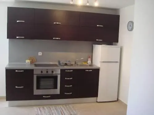 Domuzin Apartament *