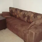 Domuzin