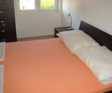 Domuzin Biograd Na Moru