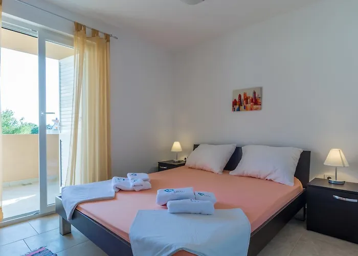 Domuzin Biograd Na Moru
