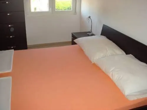 Domuzin Biograd na Moru